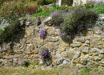 old stone wall with character, plants etc
